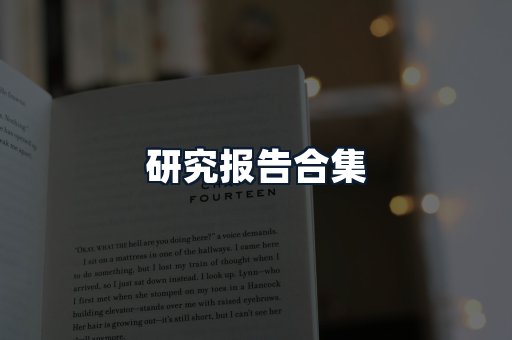 研究报告合集